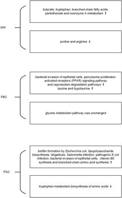 The Microbiome in Autoimmune Liver Diseases: Metagenomic and Metabolomic Changes